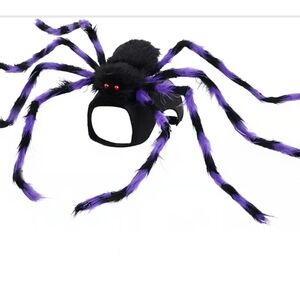 Purple and Black Spider Pet Costume